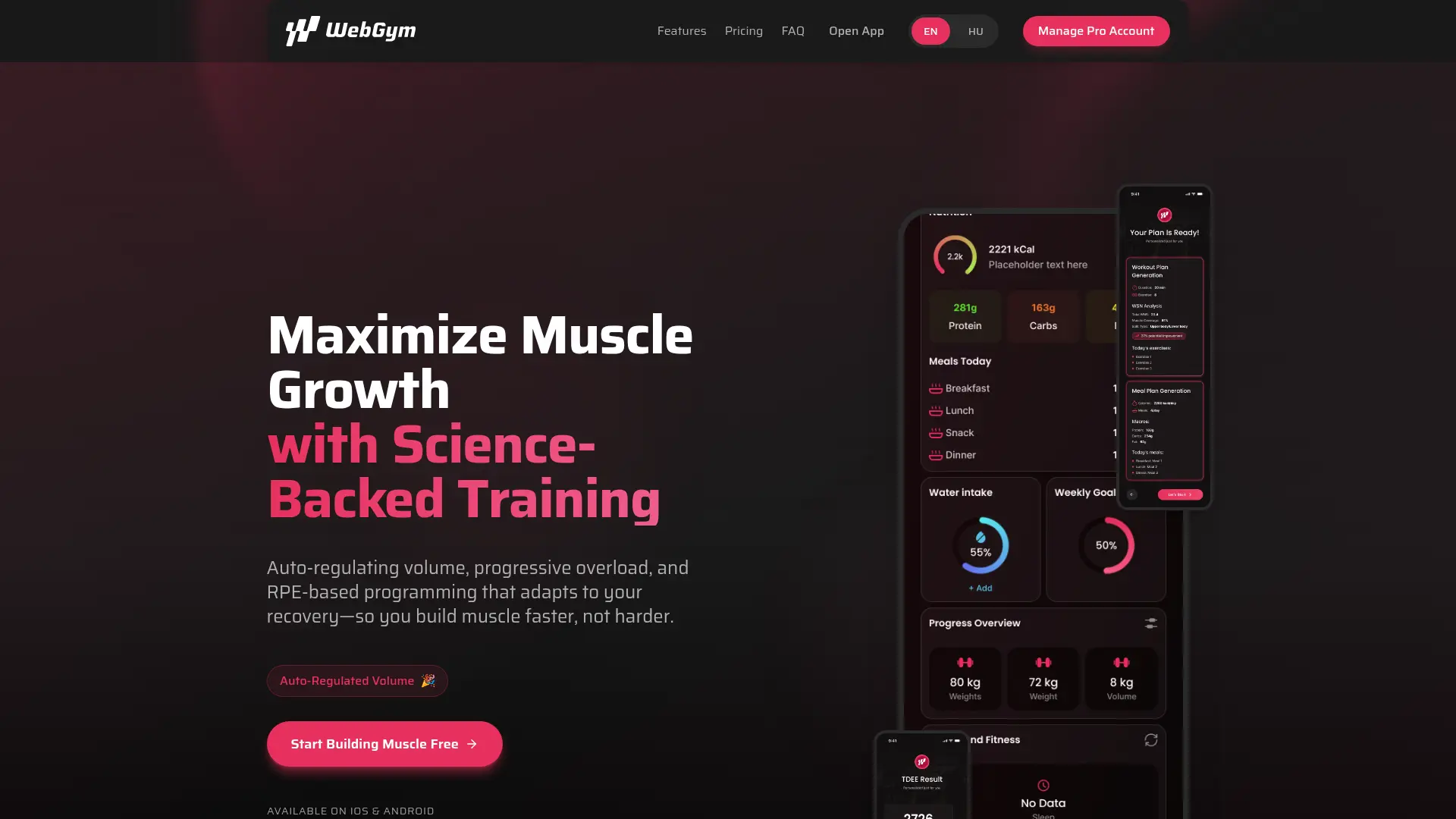 WEBGYM — Edzésnaplózó alkalmazás — projekt screenshot